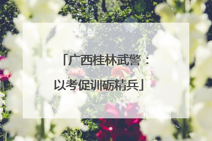 广西桂林武警：以考促训砺精兵