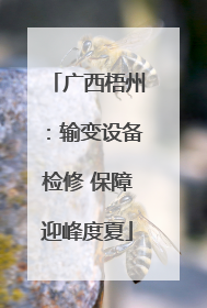 广西梧州：输变设备检修 保障迎峰度夏