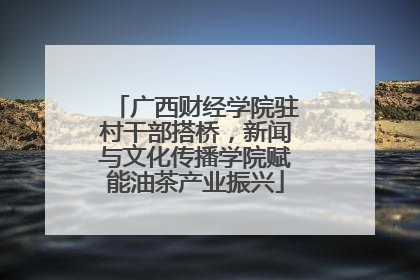 广西财经学院驻村干部搭桥，新闻与文化传播学院赋能油茶产业振兴
