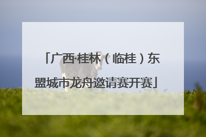 广西·桂林（临桂）东盟城市龙舟邀请赛开赛