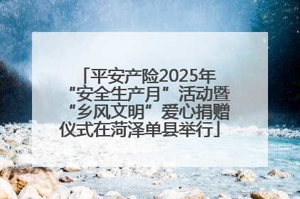 平安产险2025年“安全生产月”活动暨“乡风文明”爱心捐赠仪式在菏泽单县举行