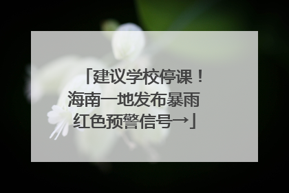 建议学校停课！海南一地发布暴雨红色预警信号→
