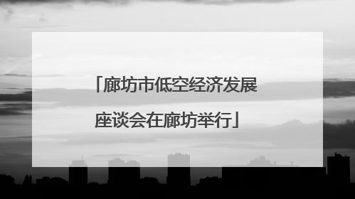廊坊市低空经济发展座谈会在廊坊举行