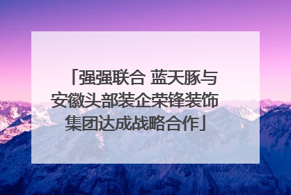 强强联合 蓝天豚与安徽头部装企荣锋装饰集团达成战略合作