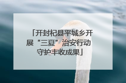开封杞县平城乡开展“三夏”治安行动 守护丰收成果