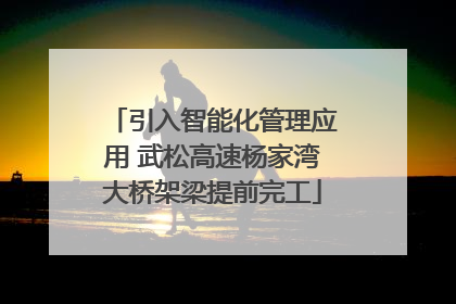 引入智能化管理应用 武松高速杨家湾大桥架梁提前完工