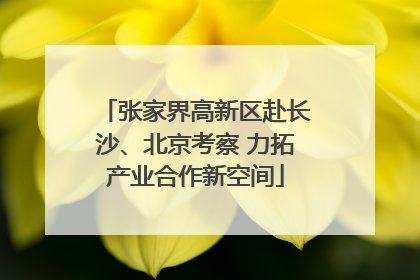 张家界高新区赴长沙、北京考察 力拓产业合作新空间