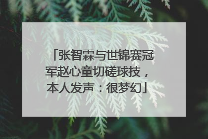 张智霖与世锦赛冠军赵心童切磋球技，本人发声：很梦幻