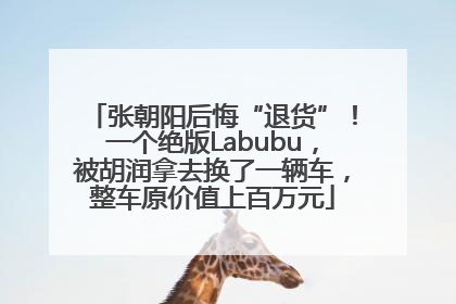 张朝阳后悔“退货”！一个绝版Labubu，被胡润拿去换了一辆车，整车原价值上百万元