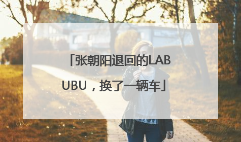 张朝阳退回的LABUBU，换了一辆车