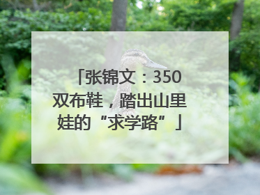 张锦文：350双布鞋，踏出山里娃的“求学路”