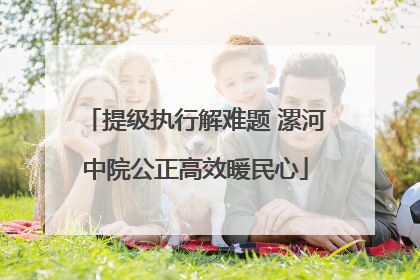 提级执行解难题 漯河中院公正高效暖民心