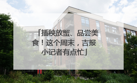 插秧放蟹、品尝美食！这个周末，吉报小记者有点忙