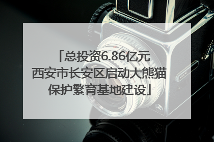 总投资6.86亿元 西安市长安区启动大熊猫保护繁育基地建设