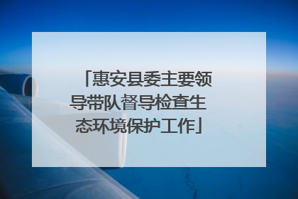 惠安县委主要领导带队督导检查生态环境保护工作