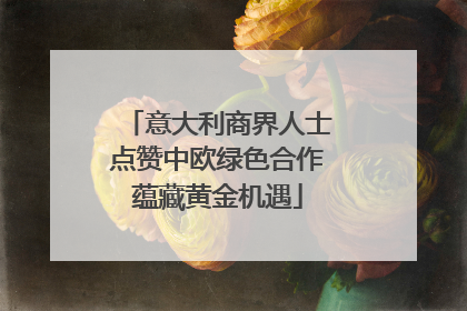 意大利商界人士点赞中欧绿色合作蕴藏黄金机遇