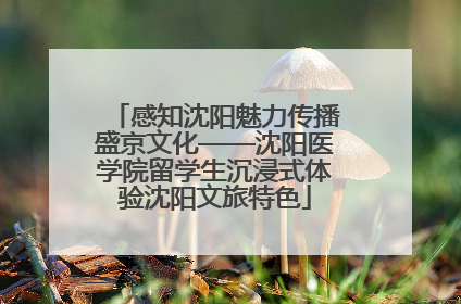 感知沈阳魅力传播盛京文化——沈阳医学院留学生沉浸式体验沈阳文旅特色
