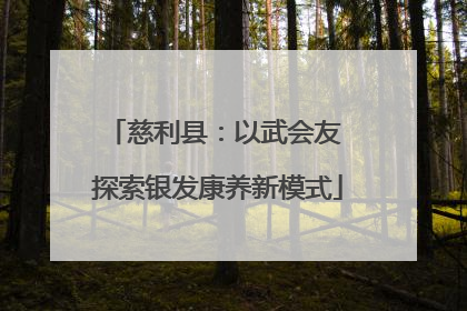 慈利县：以武会友 探索银发康养新模式