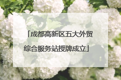 成都高新区五大外贸综合服务站授牌成立