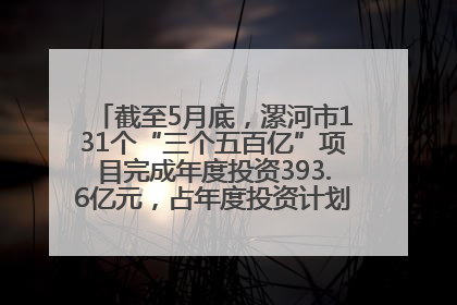 截至5月底，漯河市131个“三个五百亿”项目完成年度投资393.6亿元，占年度投资计划的50.41%——“三个五百亿”项目带动产业提质升级