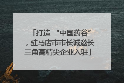 打造 “中国药谷”，驻马店市市长诚邀长三角高精尖企业入驻