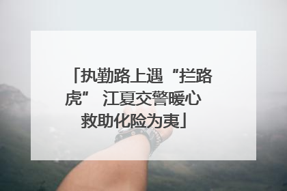 执勤路上遇“拦路虎” 江夏交警暖心救助化险为夷