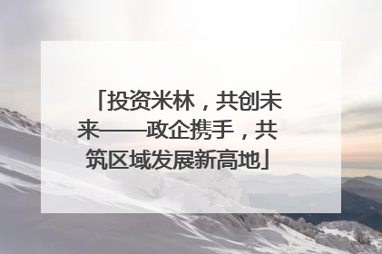 投资米林，共创未来——政企携手，共筑区域发展新高地