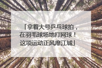 拿着大号乒乓球拍，在羽毛球场地打网球！这项运动正风靡江城
