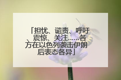担忧、谴责、呼吁、震惊、关注……各方在以色列袭击伊朗后表态各异