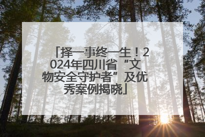 择一事终一生！2024年四川省“文物安全守护者”及优秀案例揭晓