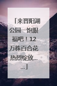 来晋阳湖公园一饱眼福吧！12万株百合花热烈绽放……