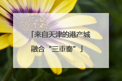 来自天津的港产城融合“三重奏”