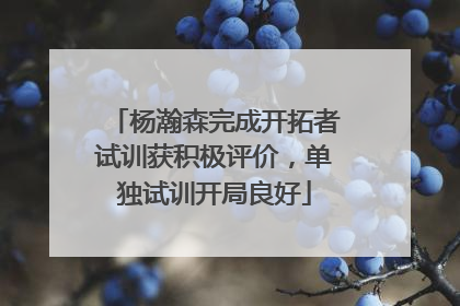 杨瀚森完成开拓者试训获积极评价，单独试训开局良好
