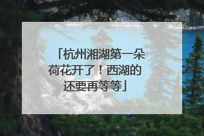 杭州湘湖第一朵荷花开了！西湖的还要再等等