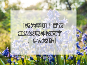 极为罕见！武汉江边发现神秘文字，专家揭秘