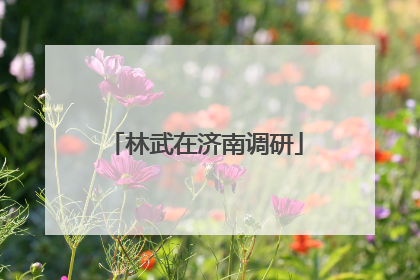 林武在济南调研