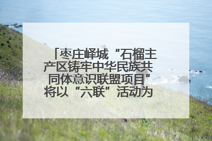 枣庄峄城“石榴主产区铸牢中华民族共同体意识联盟项目”将以“六联”活动为抓手深化品牌建设