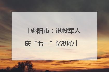 枣阳市：退役军人庆“七一”忆初心