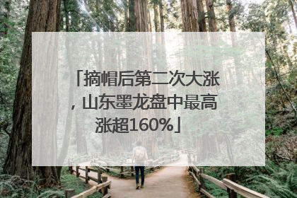 摘帽后第二次大涨，山东墨龙盘中最高涨超160%