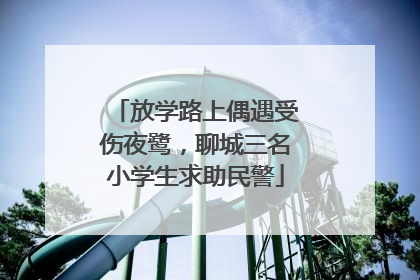 放学路上偶遇受伤夜鹭，聊城三名小学生求助民警