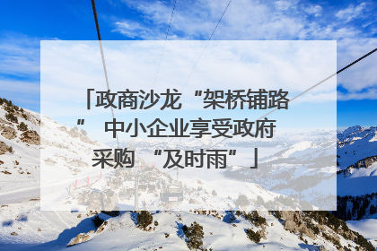 政商沙龙“架桥铺路” 中小企业享受政府采购 “及时雨”