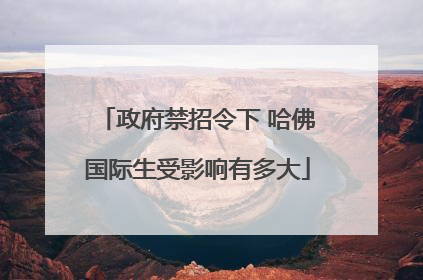 政府禁招令下 哈佛国际生受影响有多大