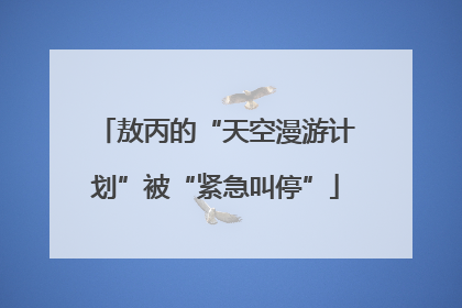 敖丙的“天空漫游计划”被“紧急叫停”