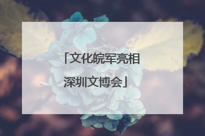 文化皖军亮相深圳文博会