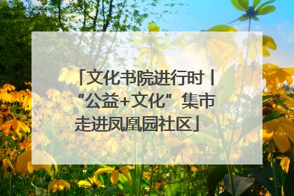 文化书院进行时丨“公益+文化”集市走进凤凰园社区