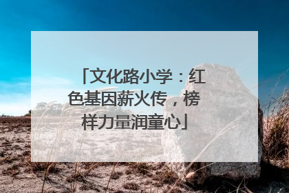 文化路小学：红色基因薪火传，榜样力量润童心