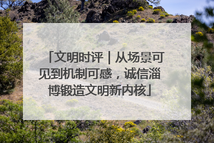 文明时评｜从场景可见到机制可感，诚信淄博锻造文明新内核