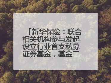 新华保险：联合相关机构参与发起设立行业首支私募证券基金，基金二期200亿元已募集完毕