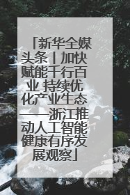 新华全媒头条丨加快赋能千行百业 持续优化产业生态——浙江推动人工智能健康有序发展观察