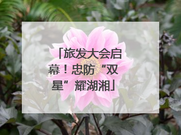 旅发大会启幕！忠防“双星”耀湖湘